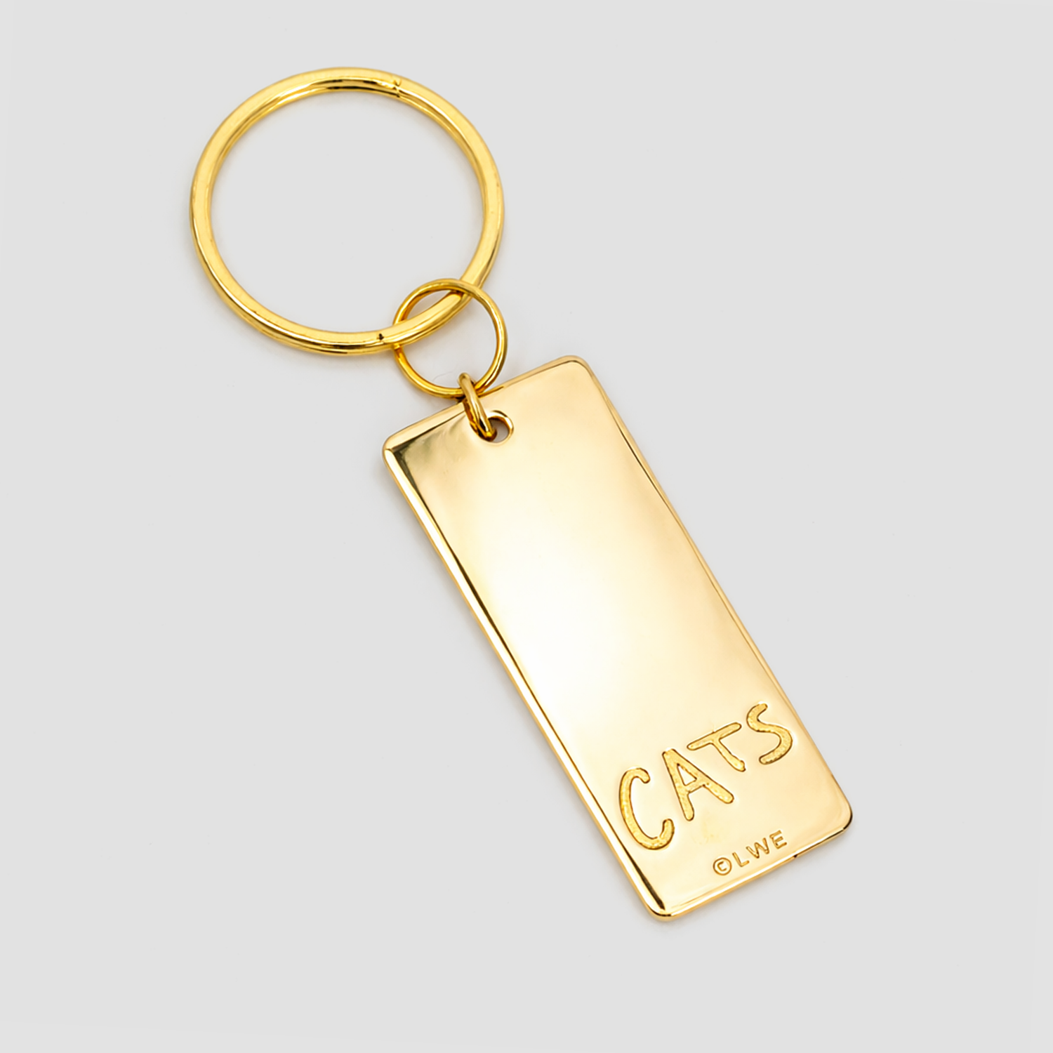 CATS - Number Plate Key Ring