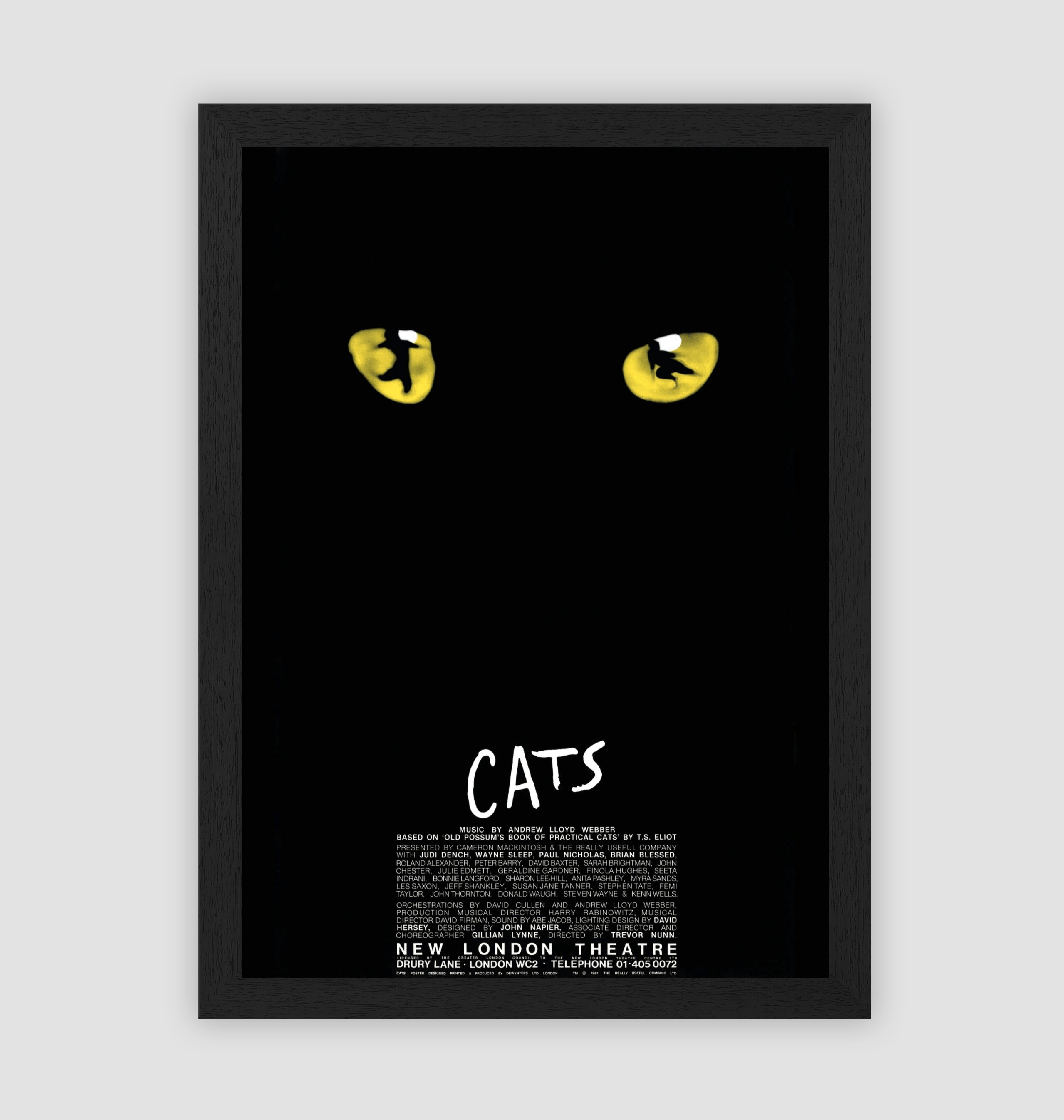 Cats Musical Poster