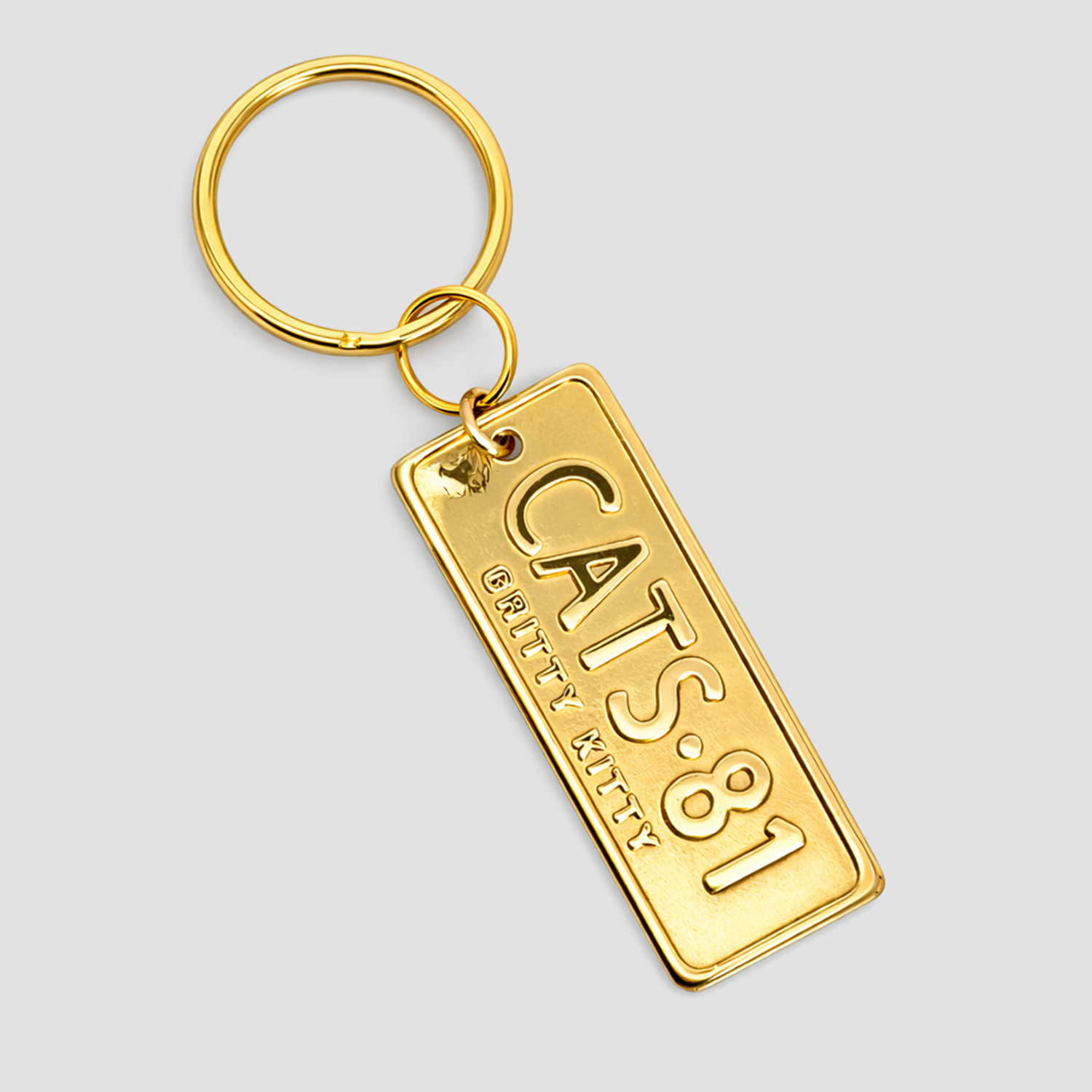 CATS - Number Plate Key Ring