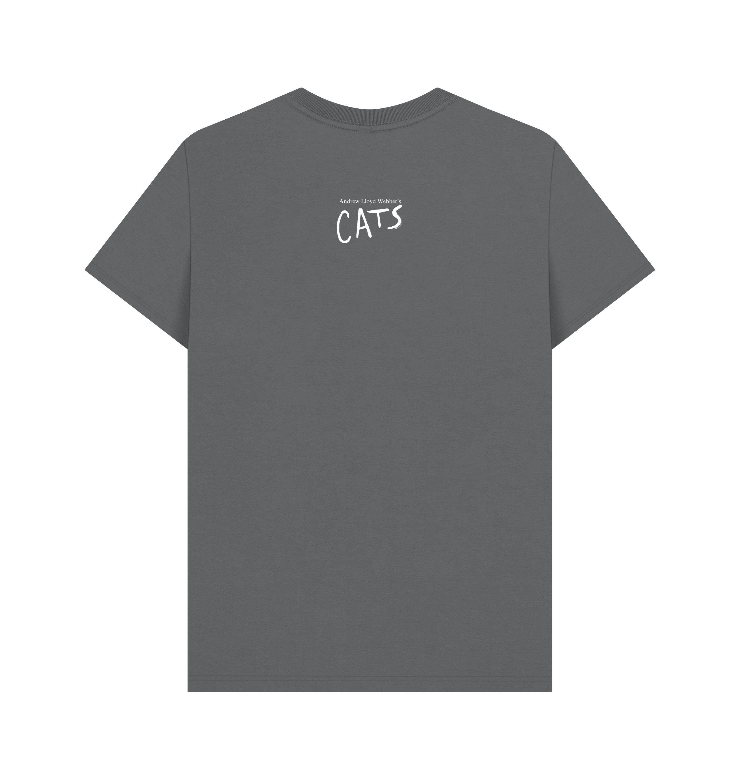 Slate Grey Printed T-shirt Back